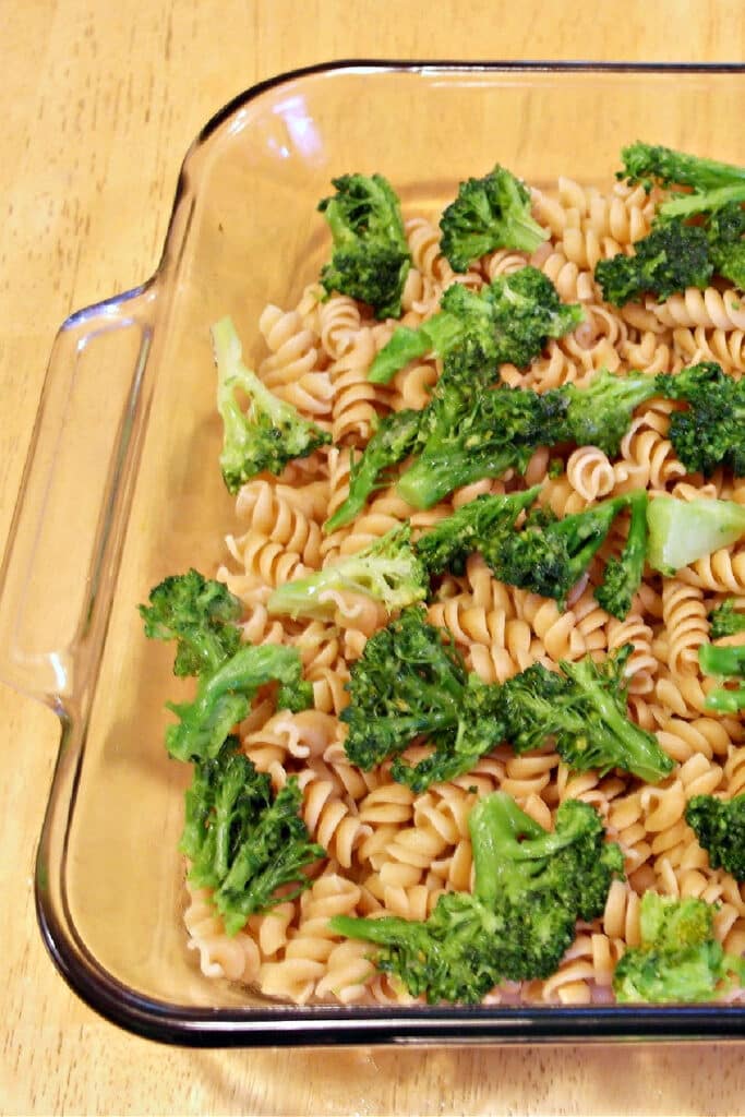 Adding pasta and brocoli to glass casserole dish