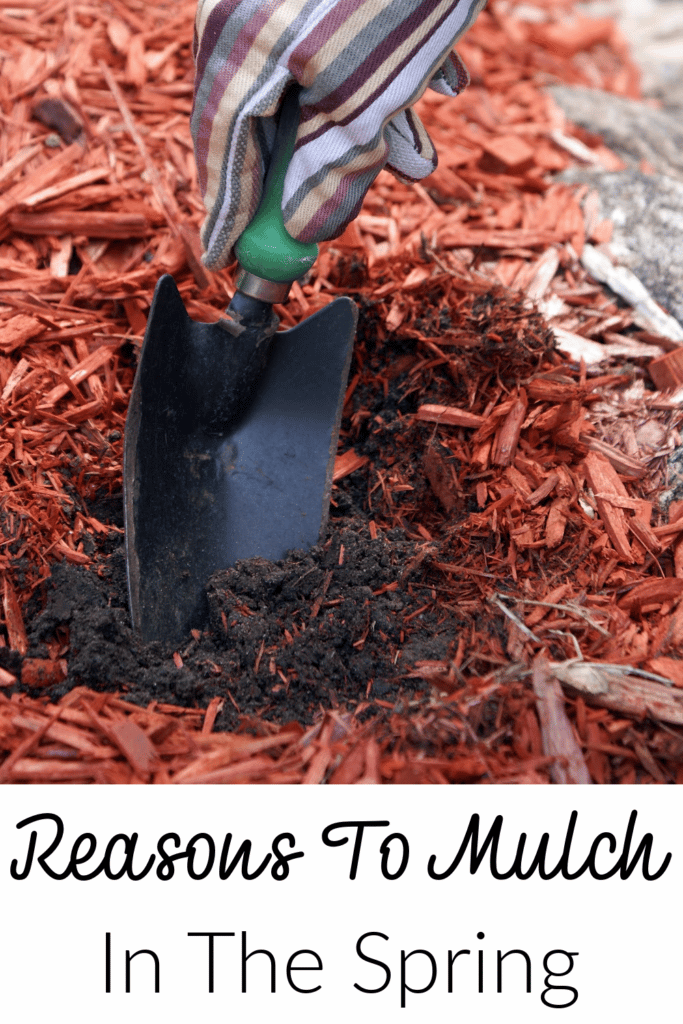 reasons to mulch in the spring - red mulch and shovel