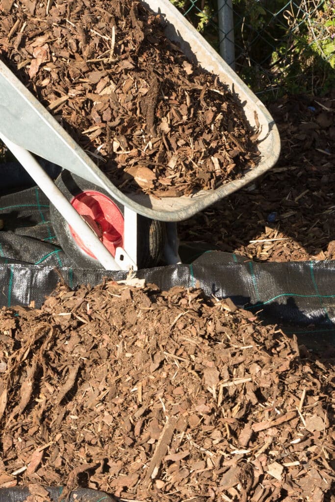 types of mulch - pictured brown mulch in wheelbarrow