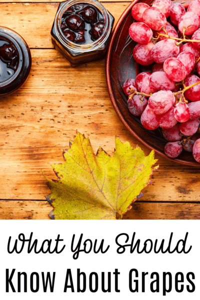 What you should know about grapes 1