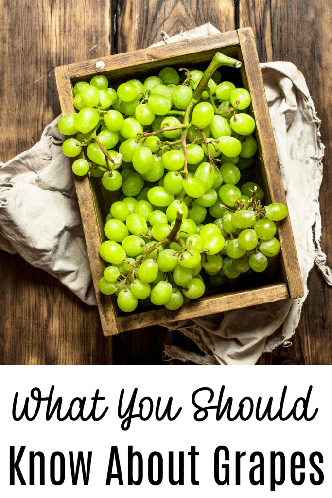 What you should know about grapes