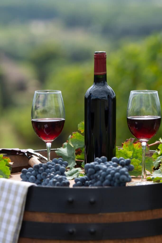 grapes for wine making - pictured two glasses filled with red wine