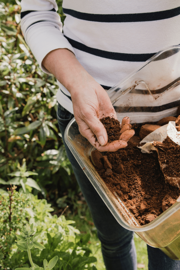 Coffee compost