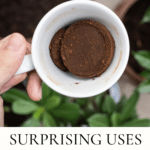 Surprising Uses for Coffee Grounds