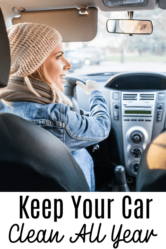 keep your car clean all year round