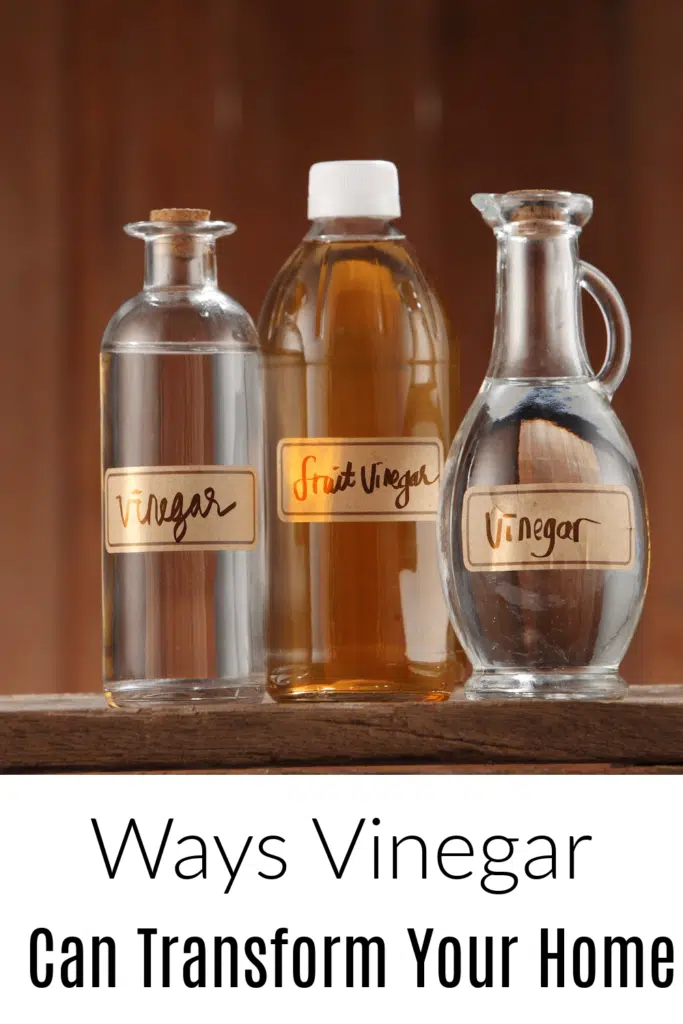 Unbelievable Truth About How Vinegar Turns Into Your Pantry Staple