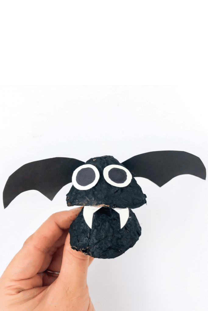completed bat on white background with wings and eyes attached