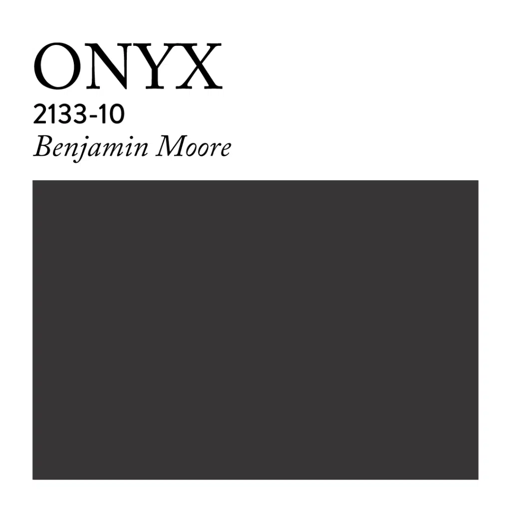 Paint Swatch onyx