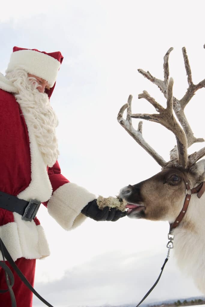santa feeding a reindeer in the snow