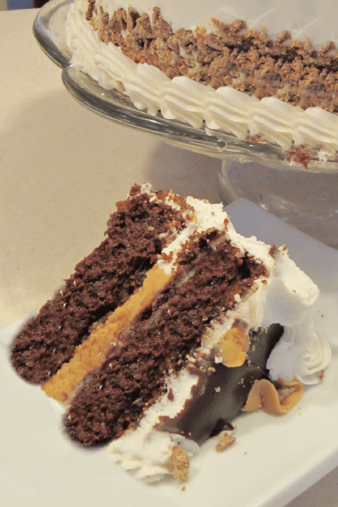 Chocolate cake to die for with peanut butter -sliced cake with peanut butter cake layer