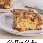 Picture of slice of cinnamon cake on plate with text overlay Coffee cake with no sour cream ec