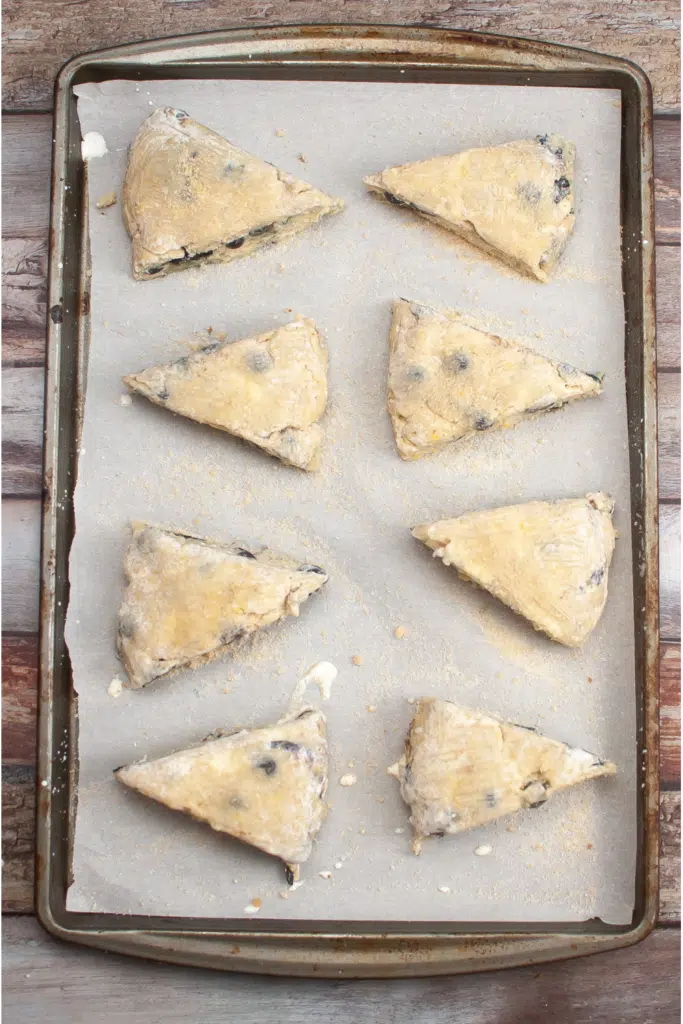 Scones on metal baking sheet ready for the over