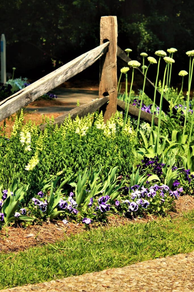 using mulch in garden and its benefits