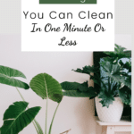 20 things you can clean in one minute or less pictured organized home with plants