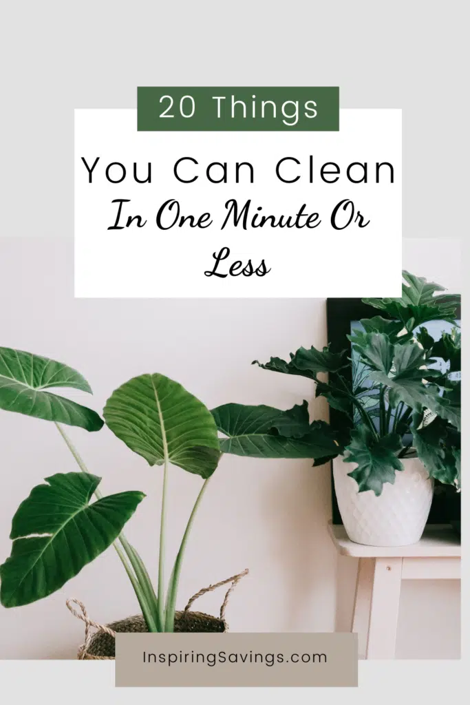 20 things you can clean in one minute or less pictured organized home with plants