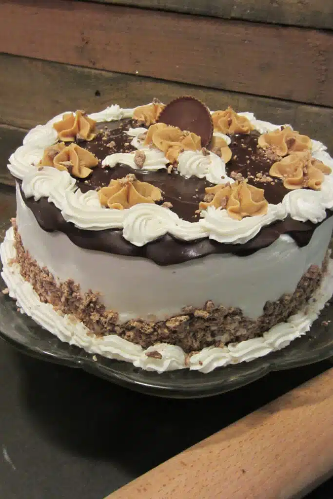 Chocolate peanut butter cake with buttercream frosting on cake stand