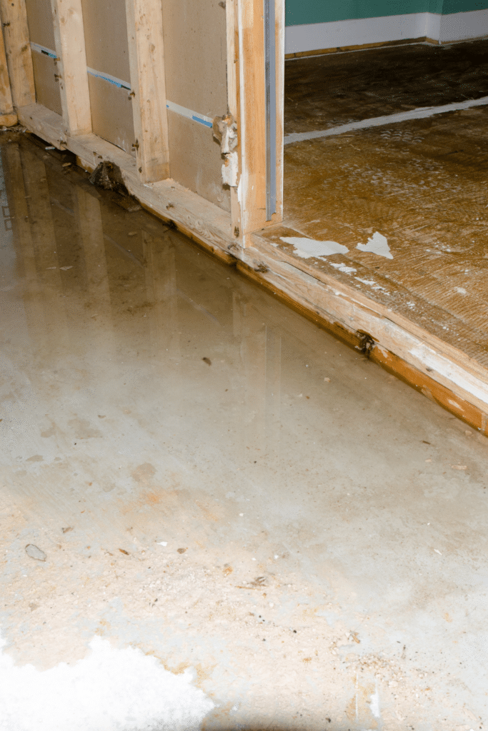 Finding the source of musty basement smell leaky sump pump
