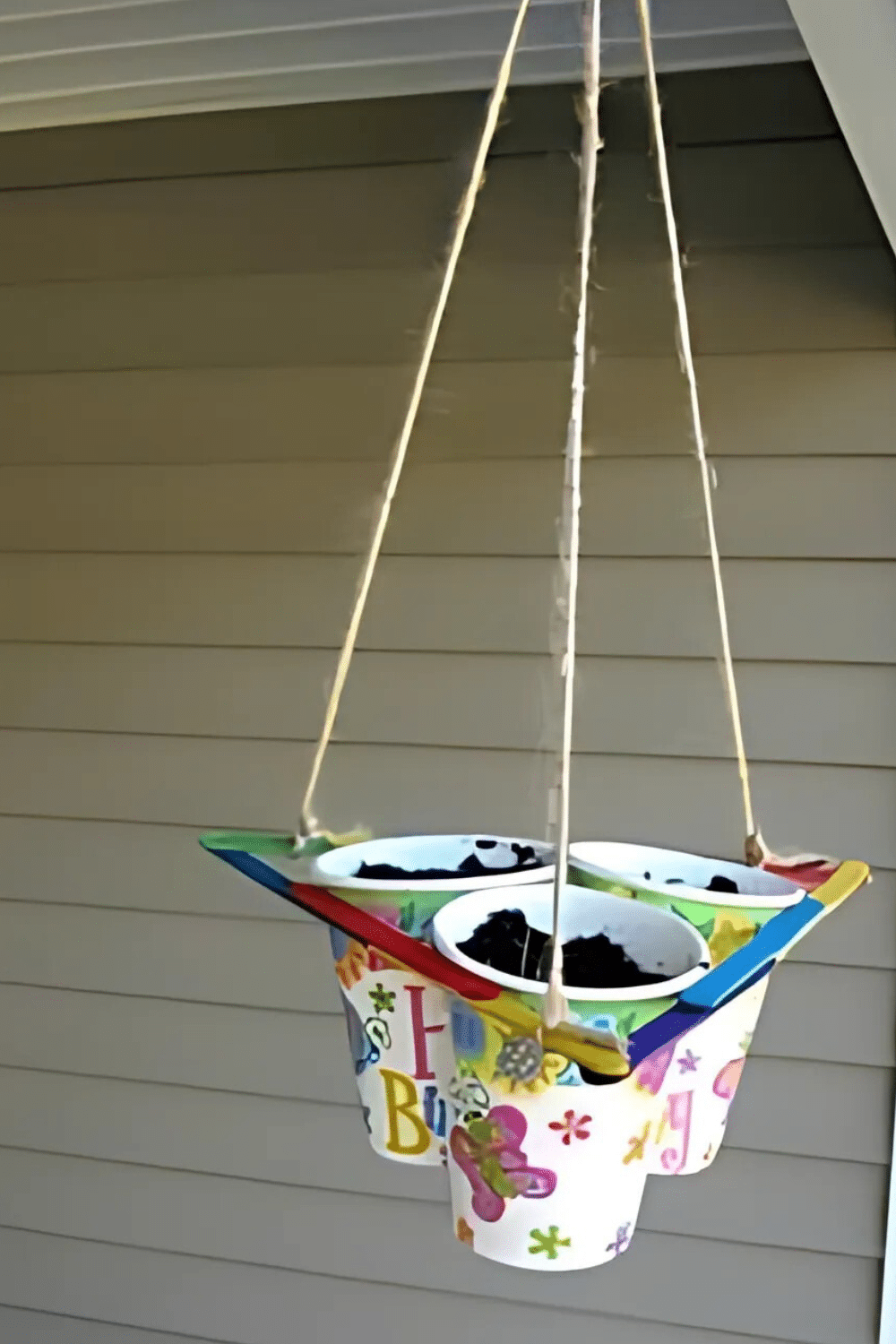 seedling Hanging basket