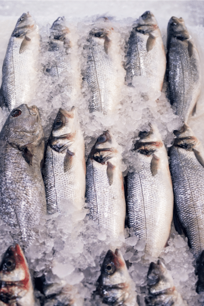 Buy seafood in bulk at the grocery store