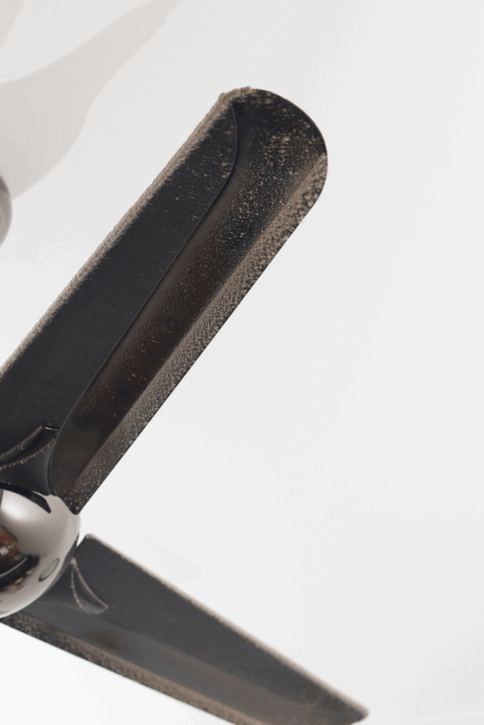 dirty fan blades