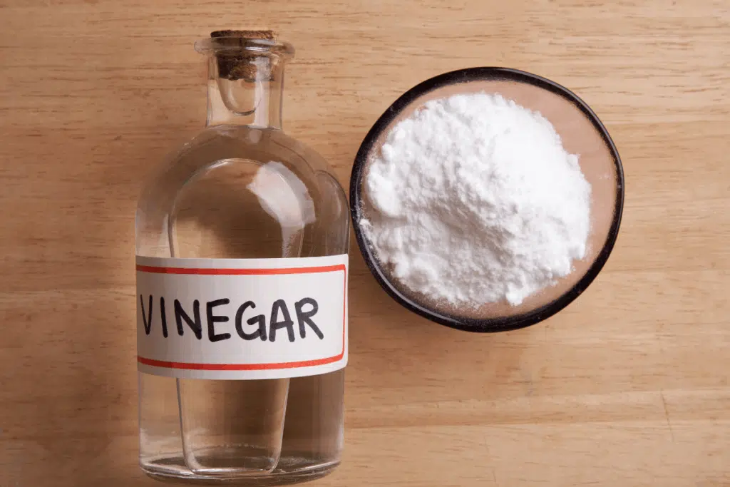 Baking Soda and Vinegar Photo Credit Canva Pro Stock Image