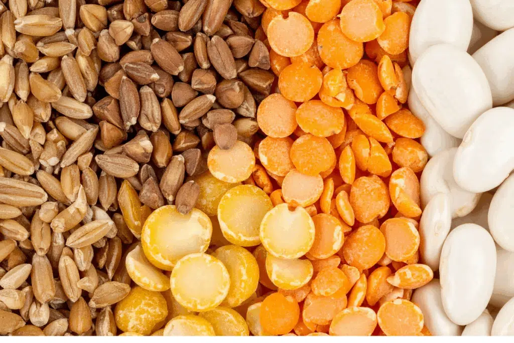 Beans lentils Photo Credit Canva Pro Stock Image
