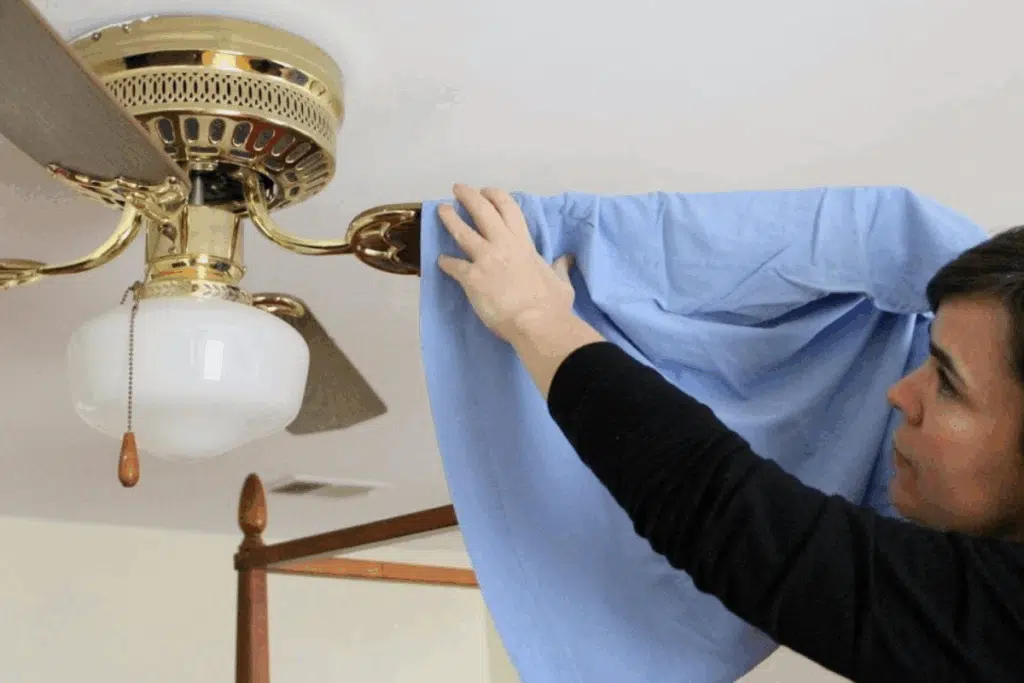 Ceiling fan Photo Credit Pro Housekeepers