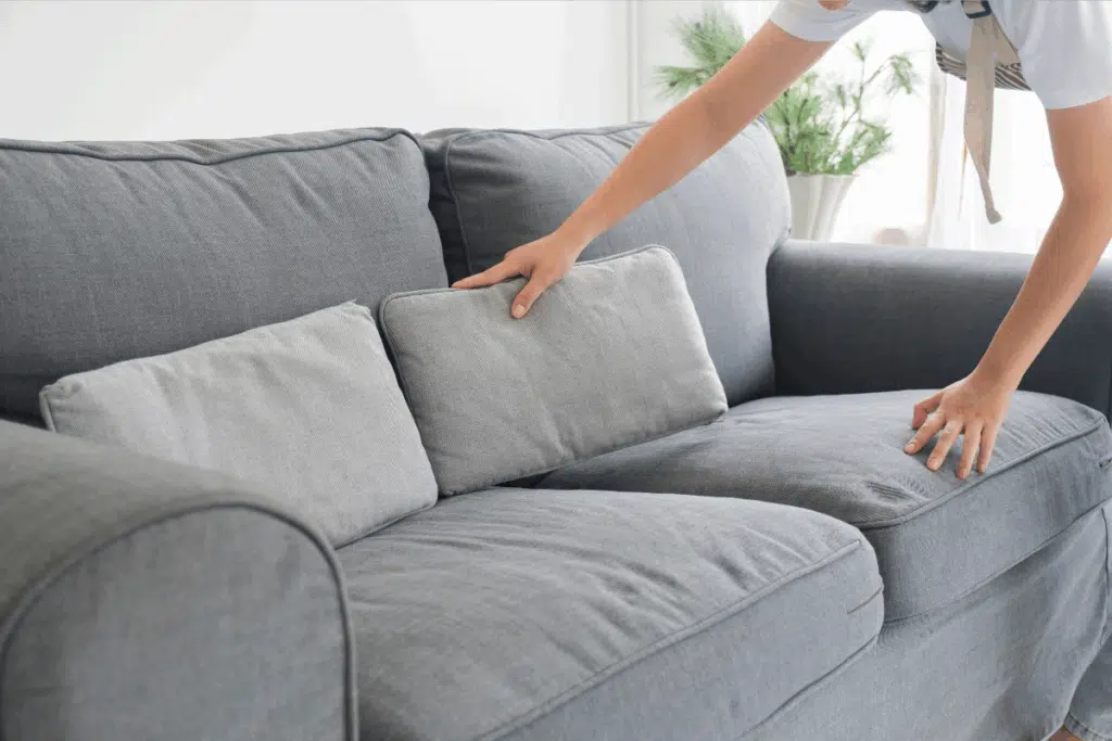 Couch Cushions Photo Credit Canva Pro Stock Image