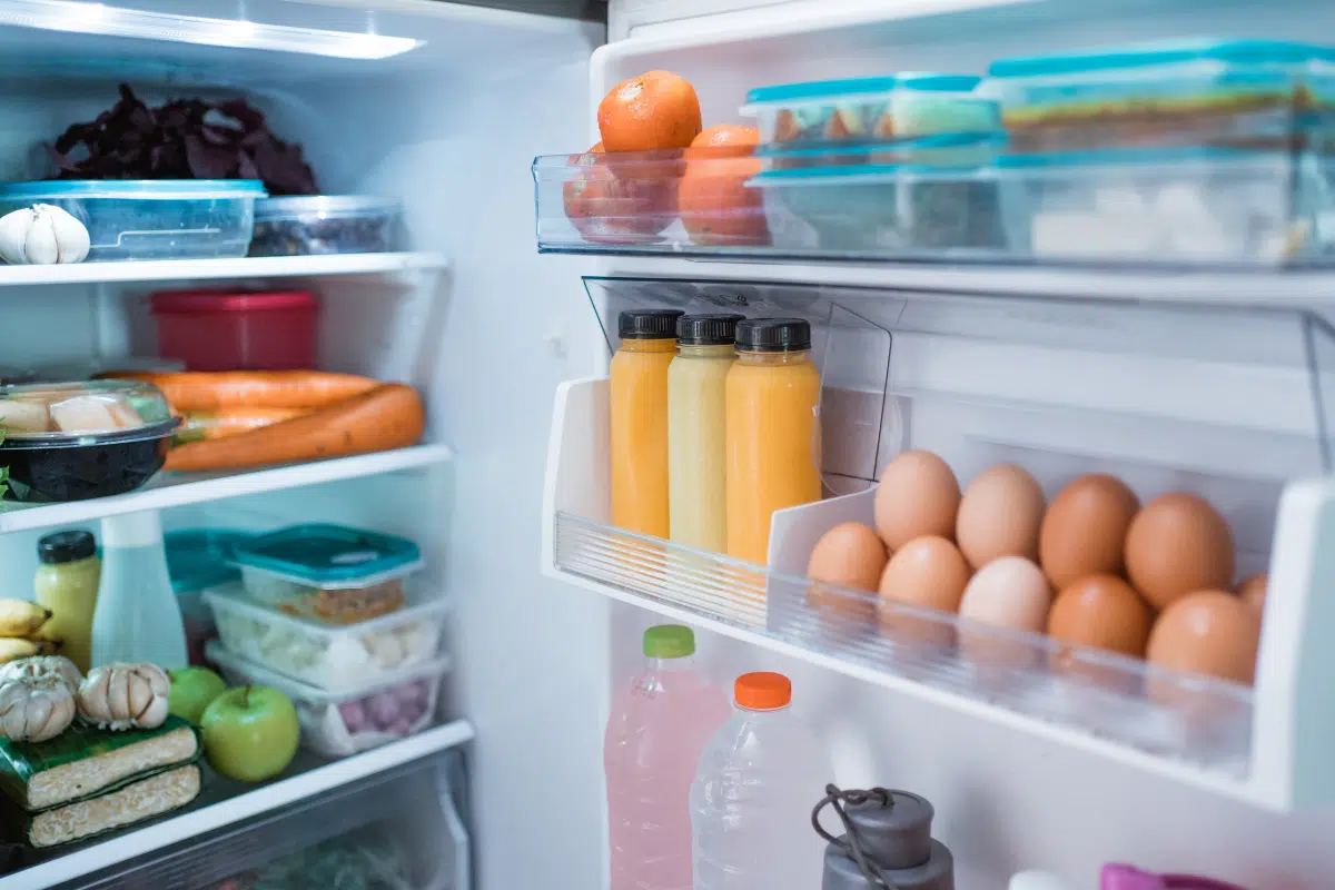 Fridge Photo Credit Canva Pro Stock Image