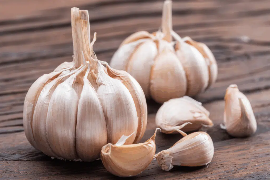Garlic Photo Credit Canva Pro Stock Image