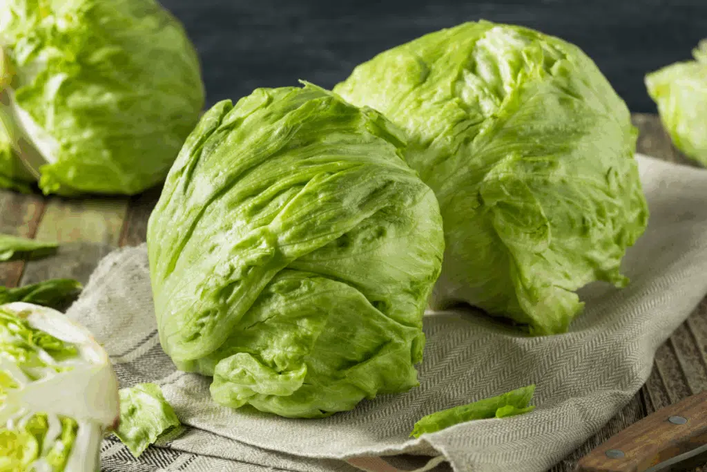 Lettuce Photo Credit Canva Pro Stock Image