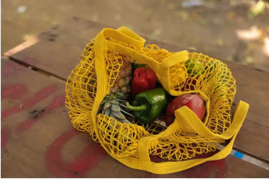 Produce Bag Photo Credit Canva Pro Stock Image