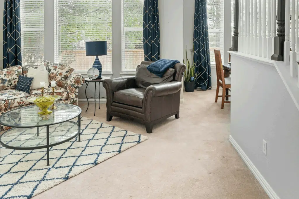 Rug Photo Credit Canva Pro Stock Image