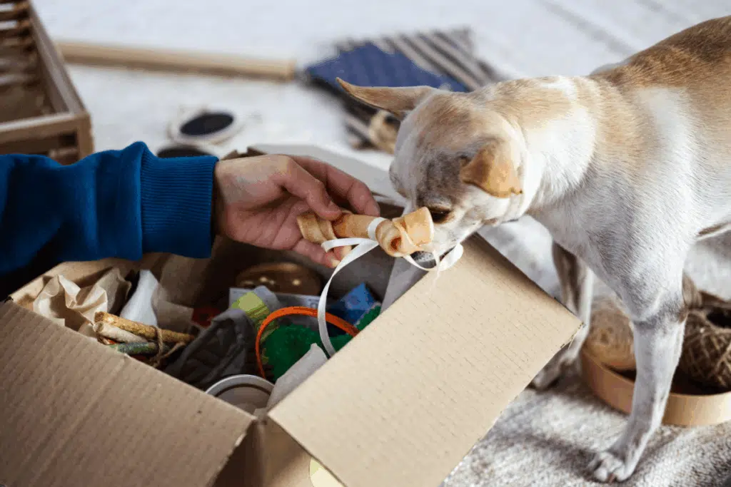 Subscription box Photo Credit Canva Pro Stock Image
