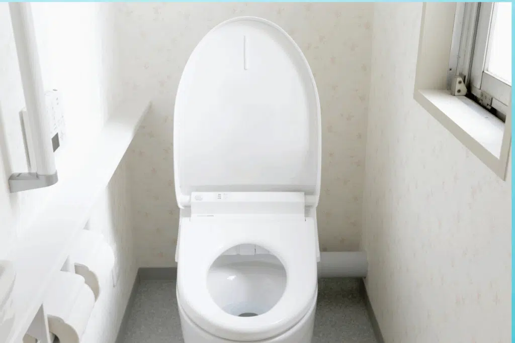 Toilet Photo Credit Canva Pro Stock Image