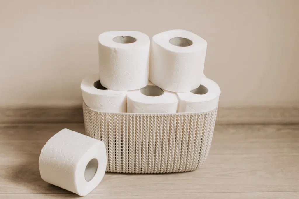 Toilet paper Photo Credit Canva Pro Stock Image