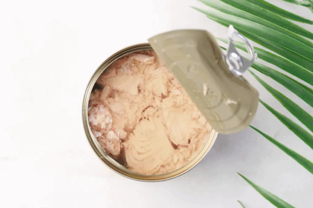 Tuna Fish Photo Credit Canva Pro Stock Image