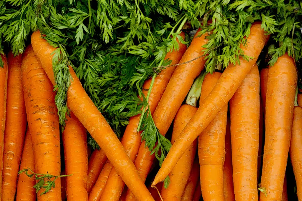 carrots Photo Credit Canva Pro Stock Image