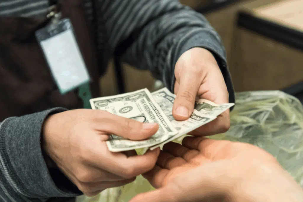 cash Photo Credit Canva Pro Stock Image