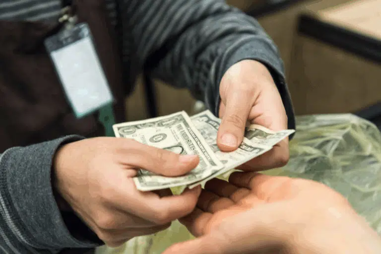 cash Photo Credit Canva Pro Stock Image