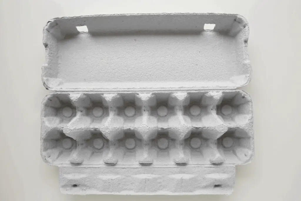 egg carton Credit Canva Pro Stock Image