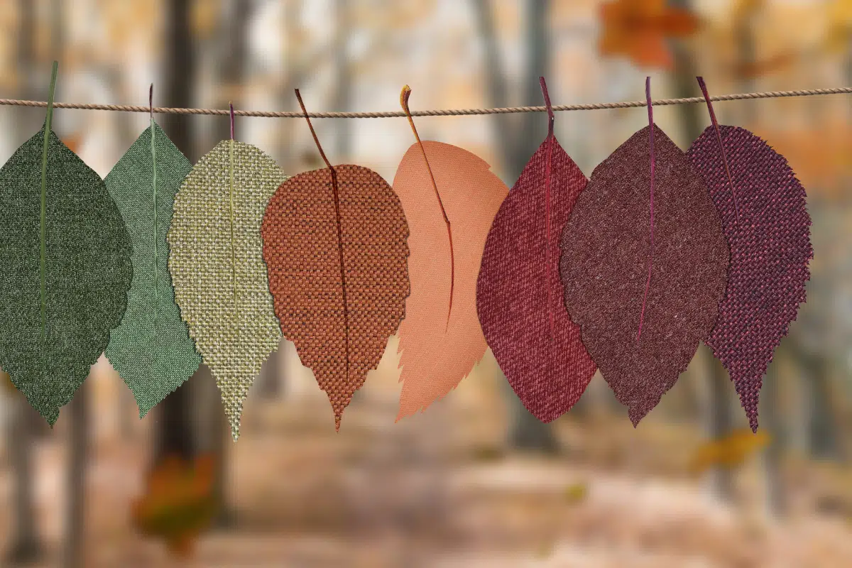 fall Photo Credit Canva Pro Stock Image