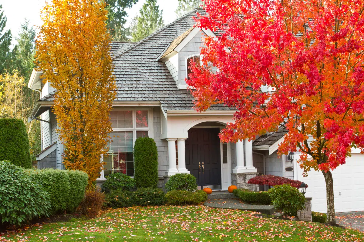 landscape home Photo Credit Canva Pro Stock Image