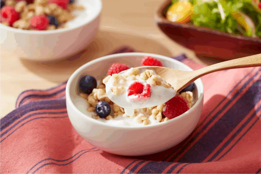 oatmeal yogurt Photo Credit Canva Pro Stock Image