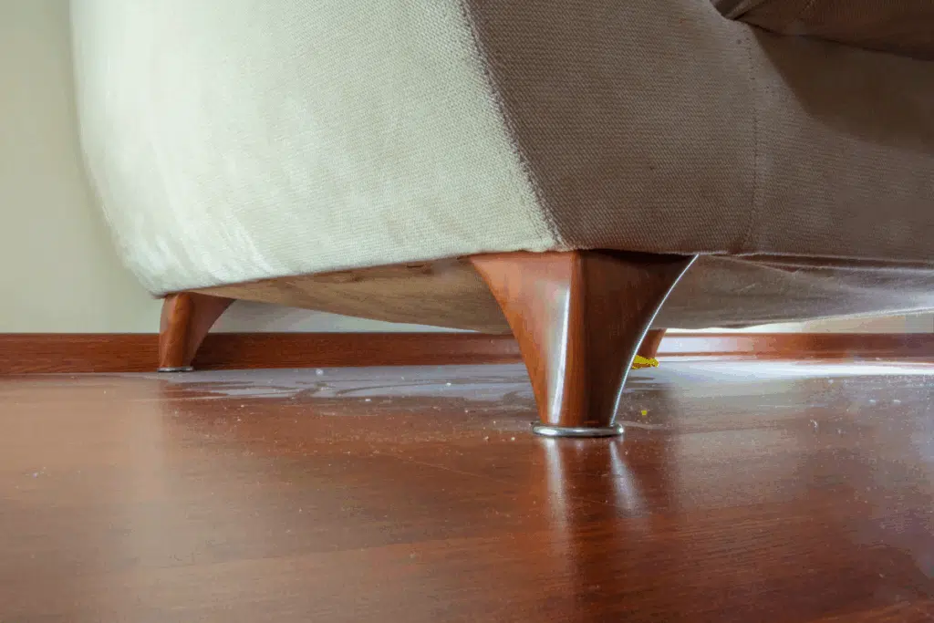 under couch Photo Credit Canva Pro Stock Image