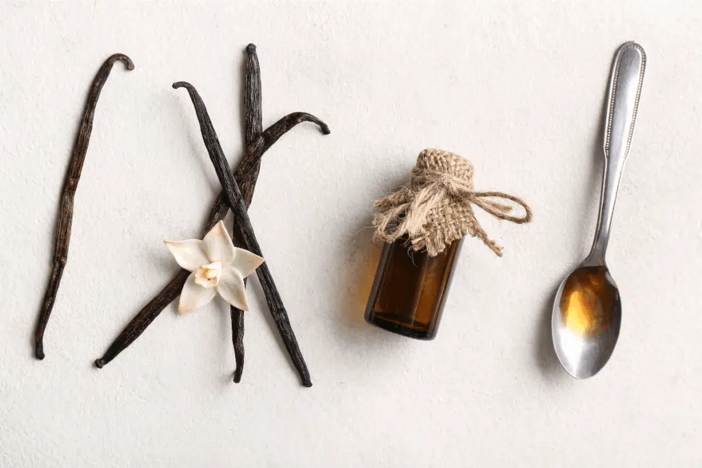 vanilla Photo Credit Canva Pro Stock Image