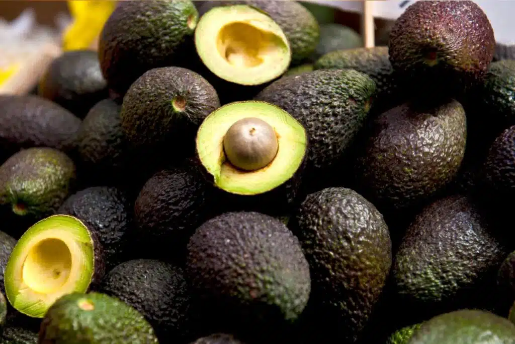 Avocados Photo Credit Canva Pro Stock Image
