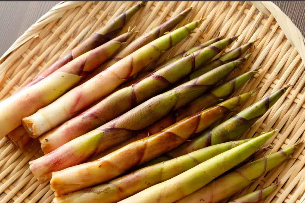 Bamboo shoots Photo Credit Canva Pro Stock Image