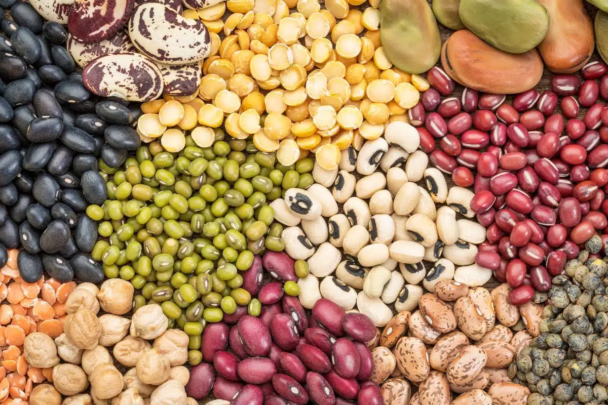 Beans Photo Credit Canva Pro Stock Image