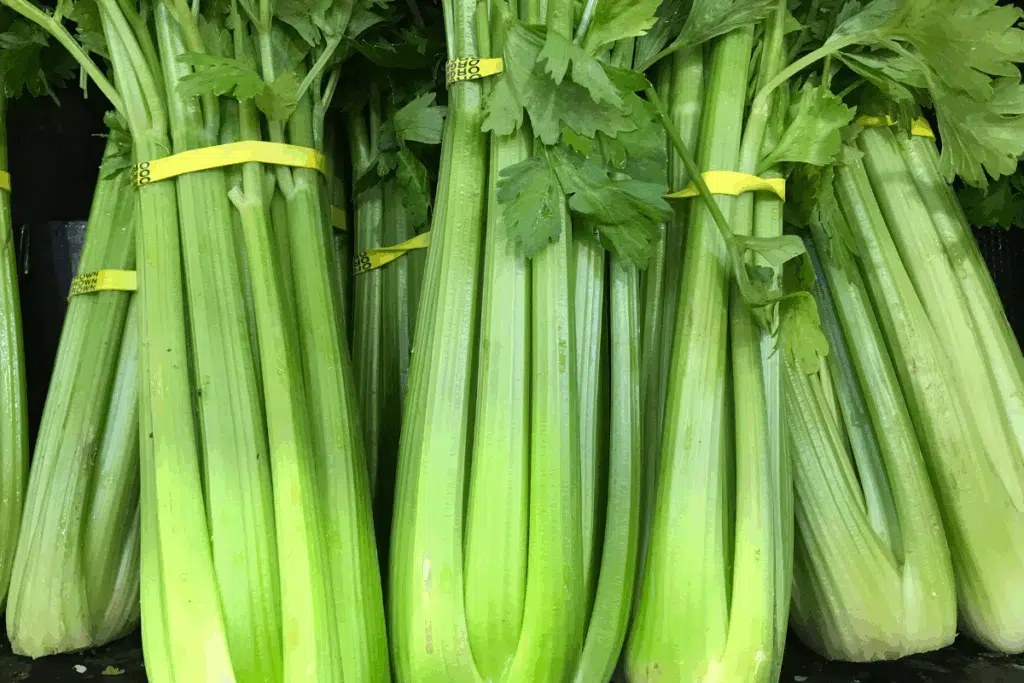 Celery Photo Credit Canva Pro Stock Image